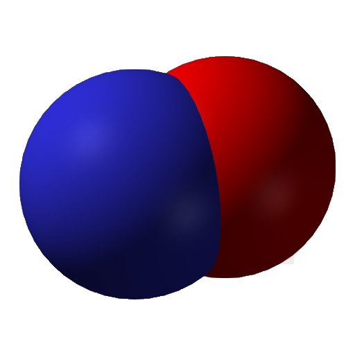 Molecular model of nitric oxide with blue and red spheres on a white background